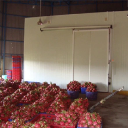 Kho lạnh bảo quản trái cây