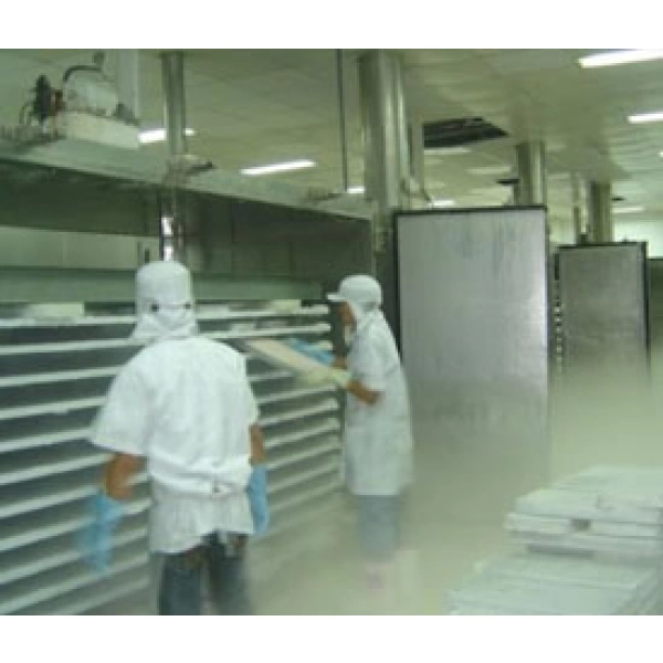 Kho đông bảo quản mực