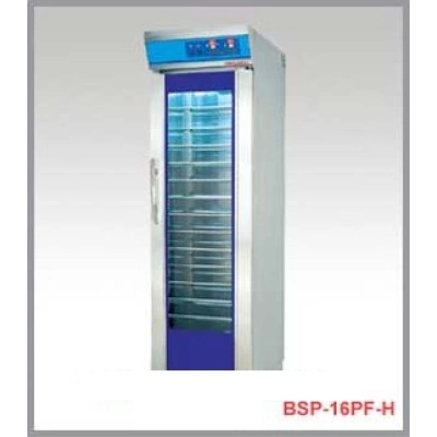 MODEL I/BSP-16PF